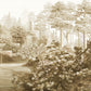 Fototapeta