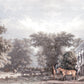 Fototapeta
